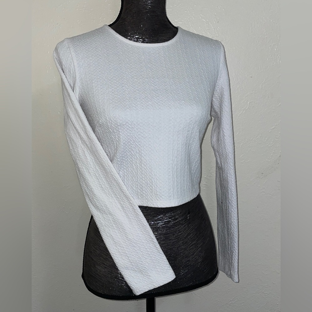 Long Sleeve Crop Top